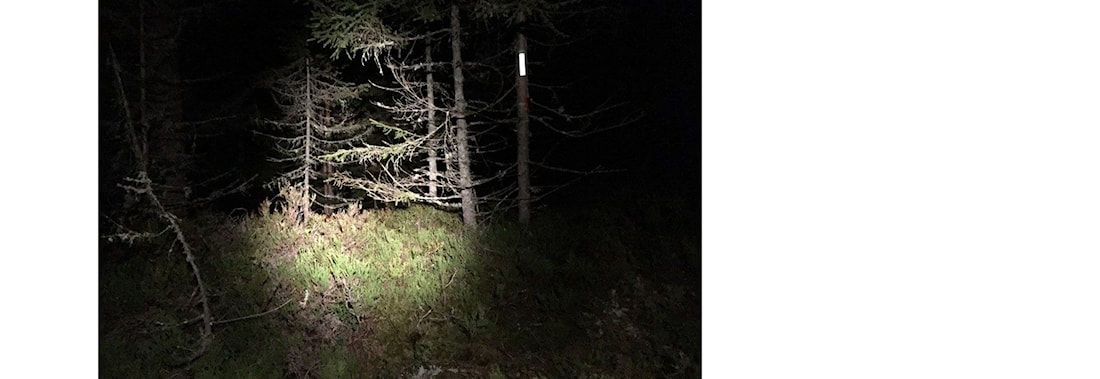 Nattløp Nordbytjernet, Jessheim.